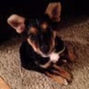 Meet your Posher, Valerie